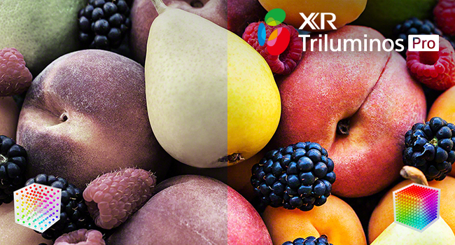 xr triluminos